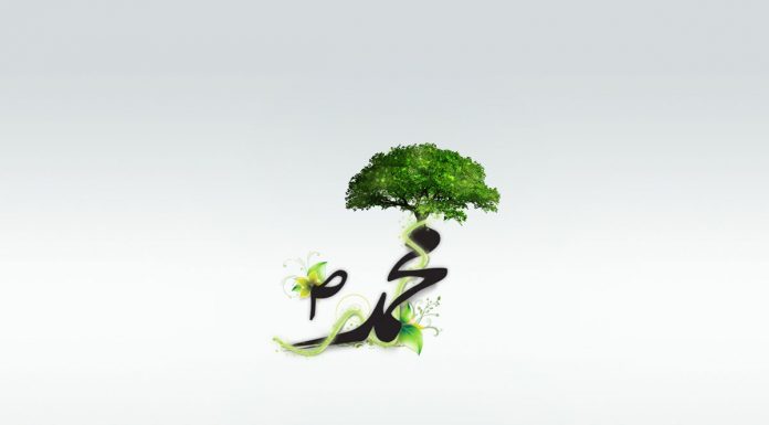 Serioziteti në fenë e Allahut